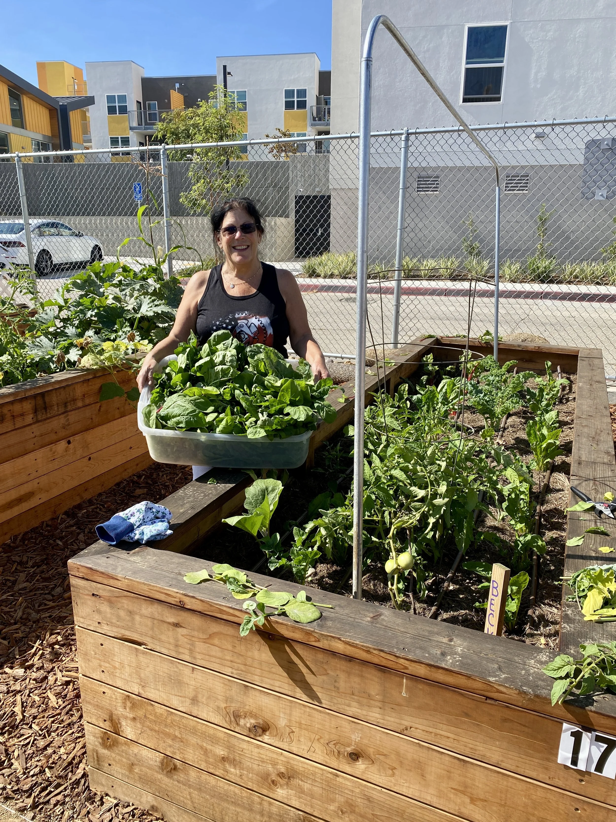 LVCG Becky Hunt Harvest Donation 01.jpg