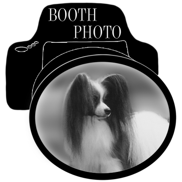 Booth Dog Show Photography