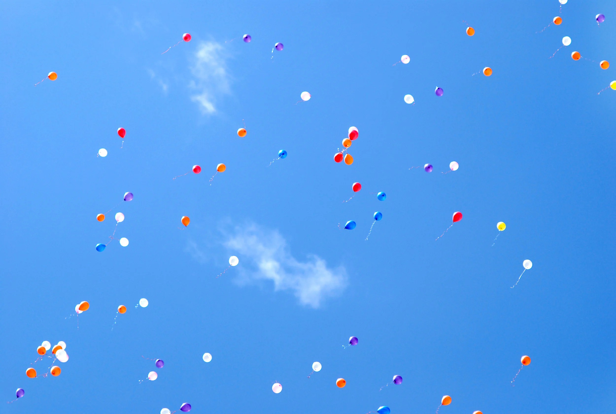 Now It's Official. We're Squarespace Specialists!