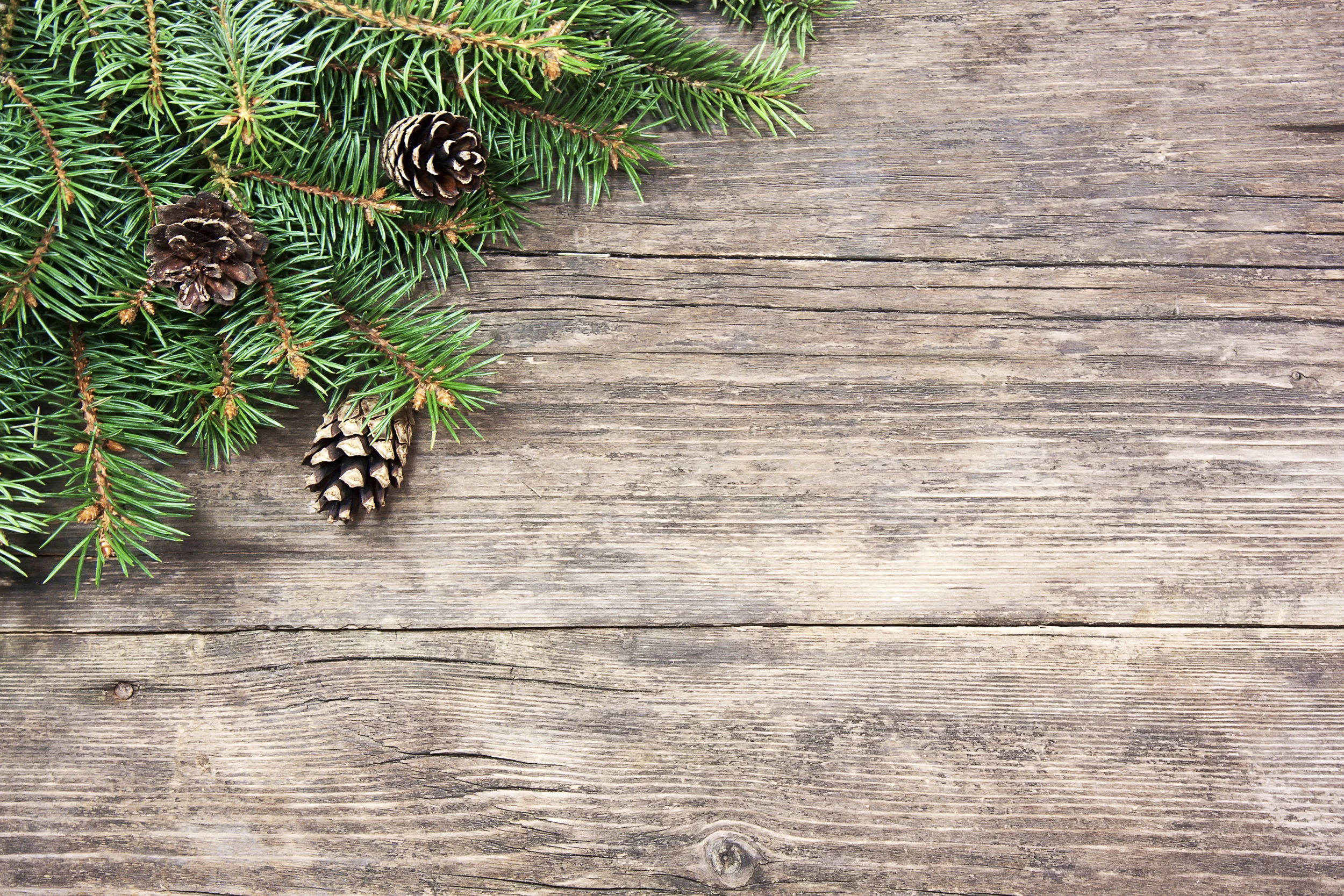 Merry Christmas From Us All!