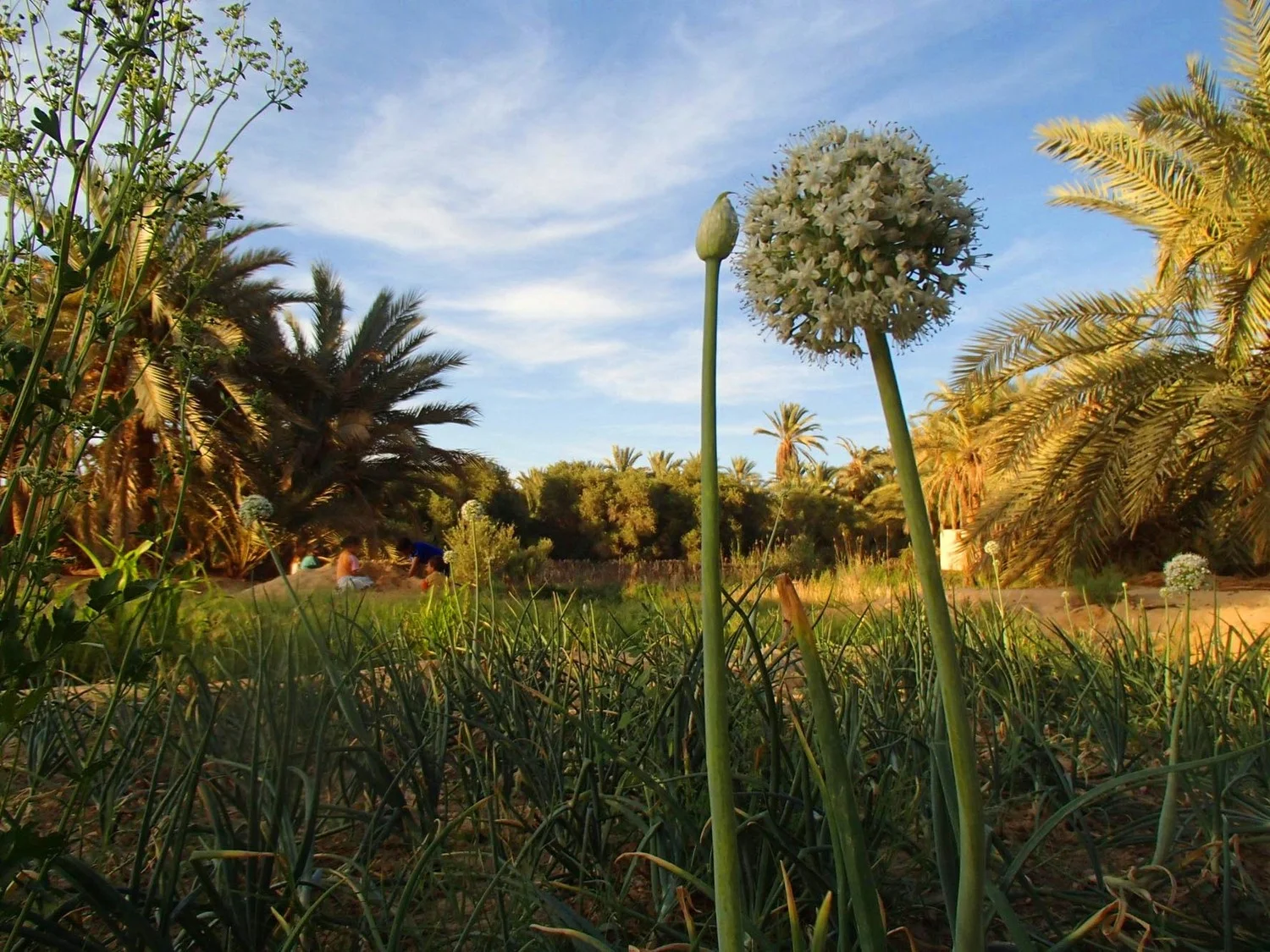 Our Latest Squarespace Projects