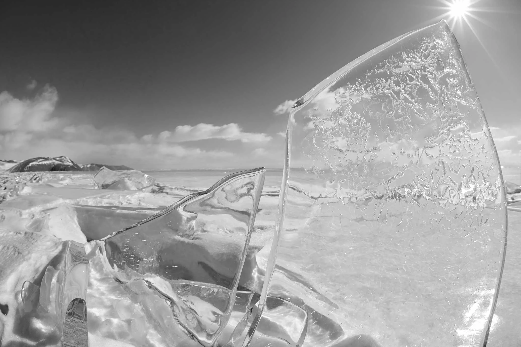 New Squarespace Launch: ICEBERG IP Group