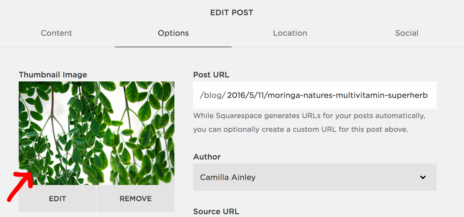 Squarespace Remove Footer
