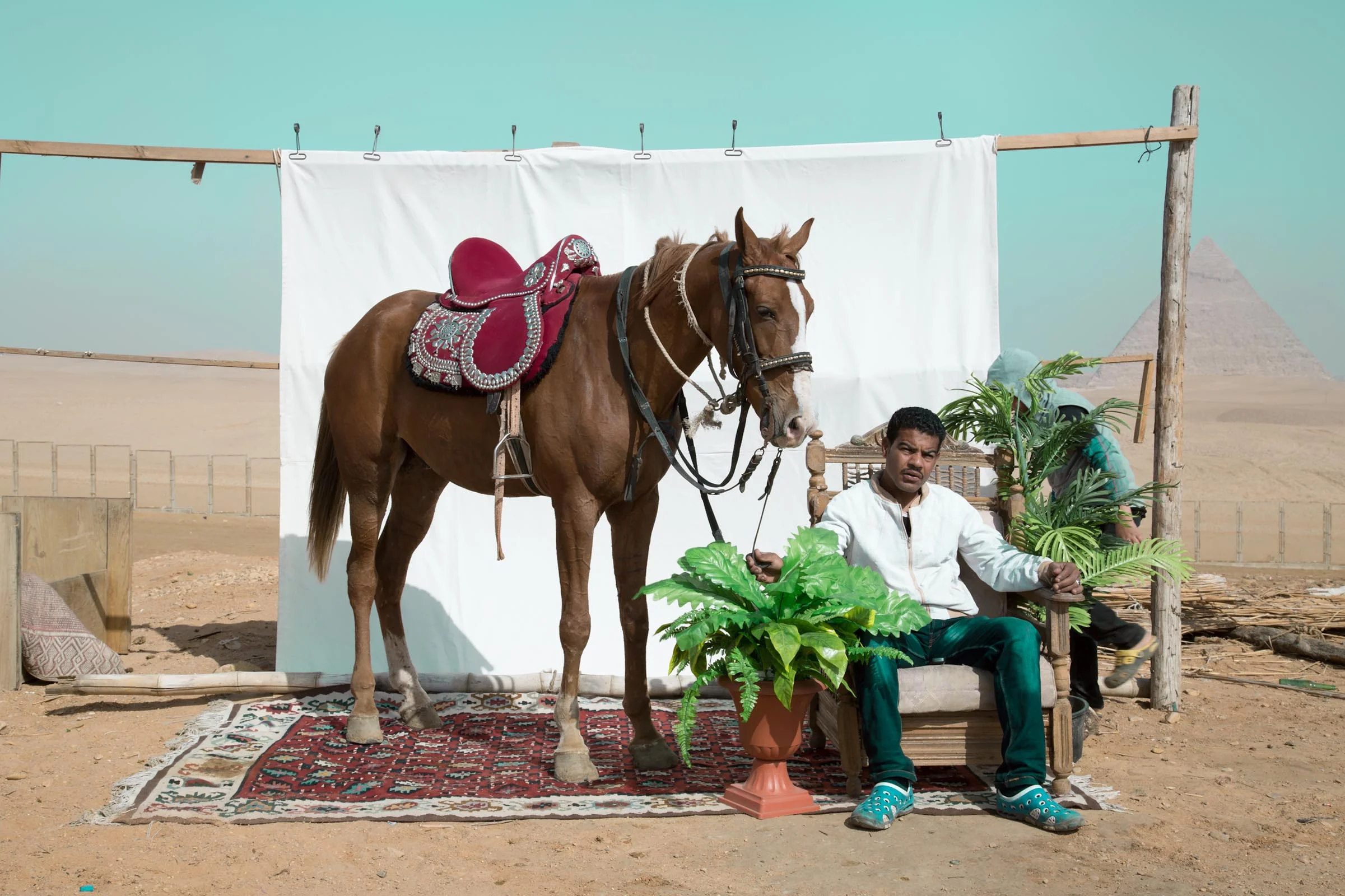 New Squarespace Launch: Tintera