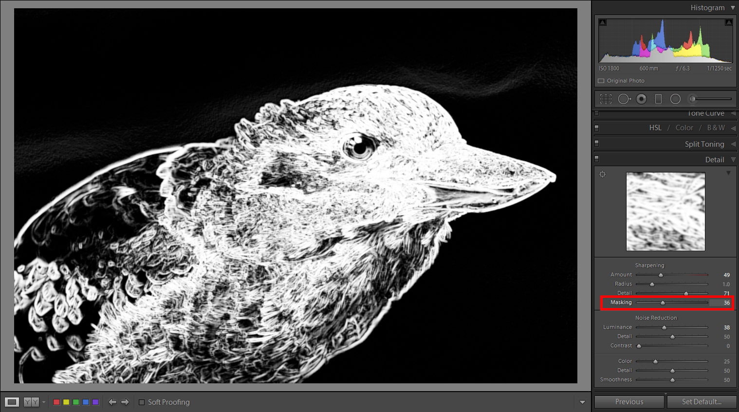 Selective sharpening in Lightroom by Rodney Campbell and Michael Smyth