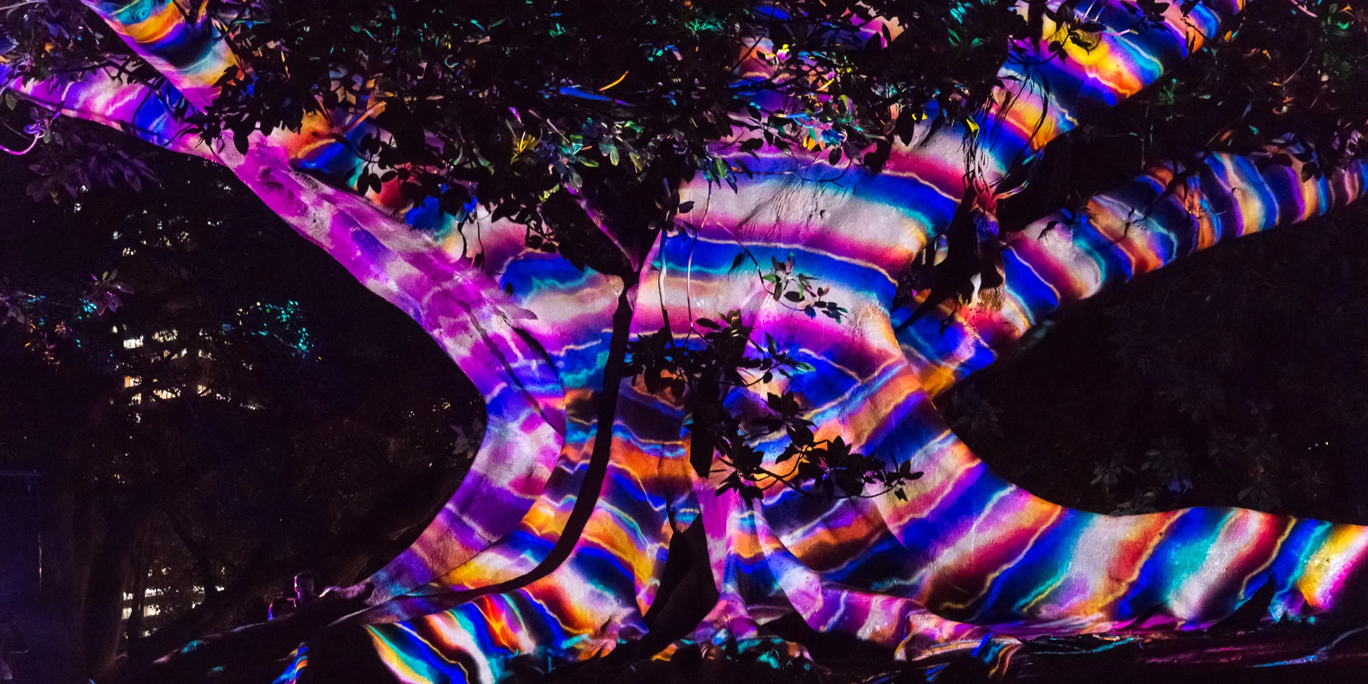 Vivid Sydney extended into the Botanical Gardens this year - Image (c) Michael Smyth 2016