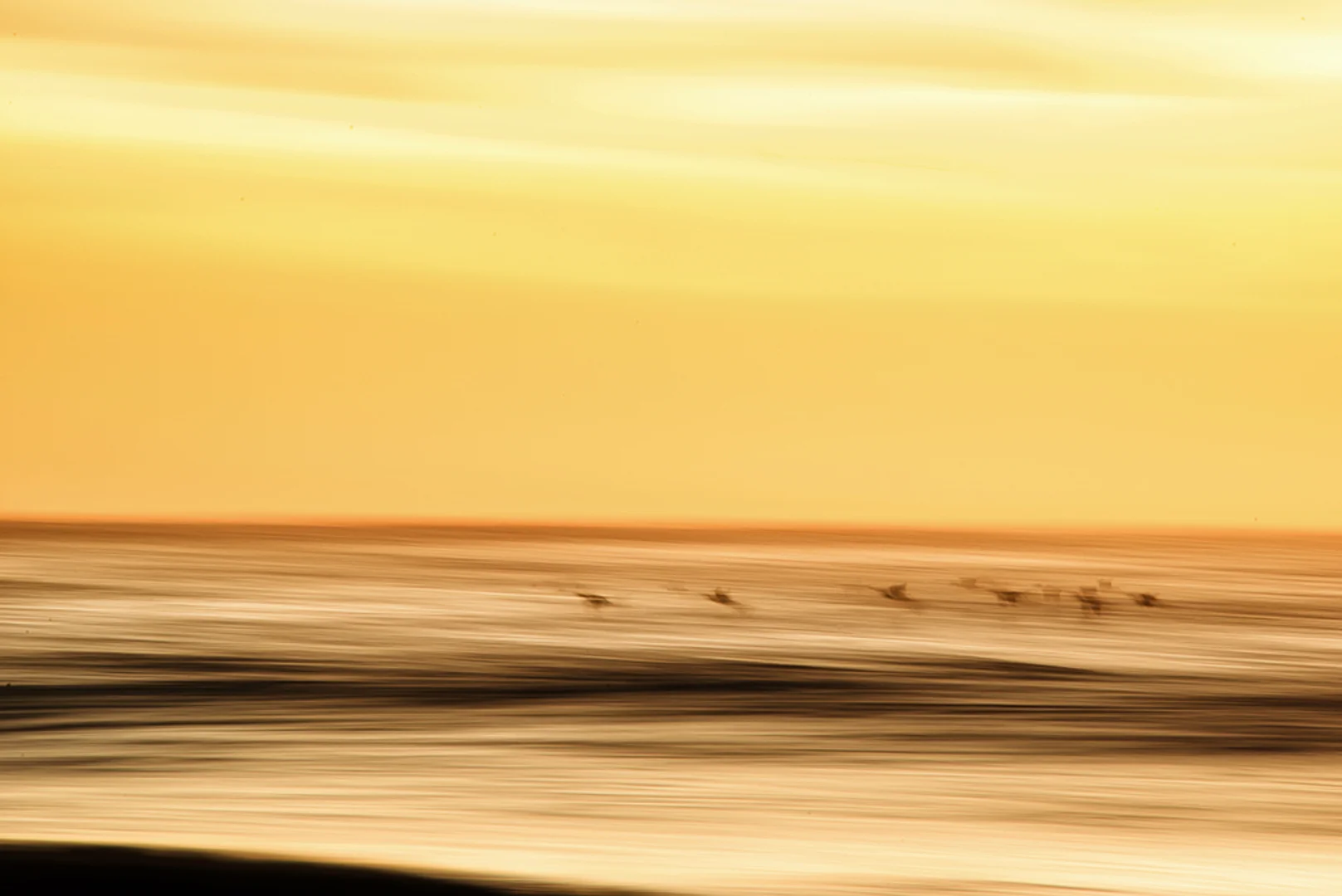 Morning Flight (c) Ron Bullions 2016