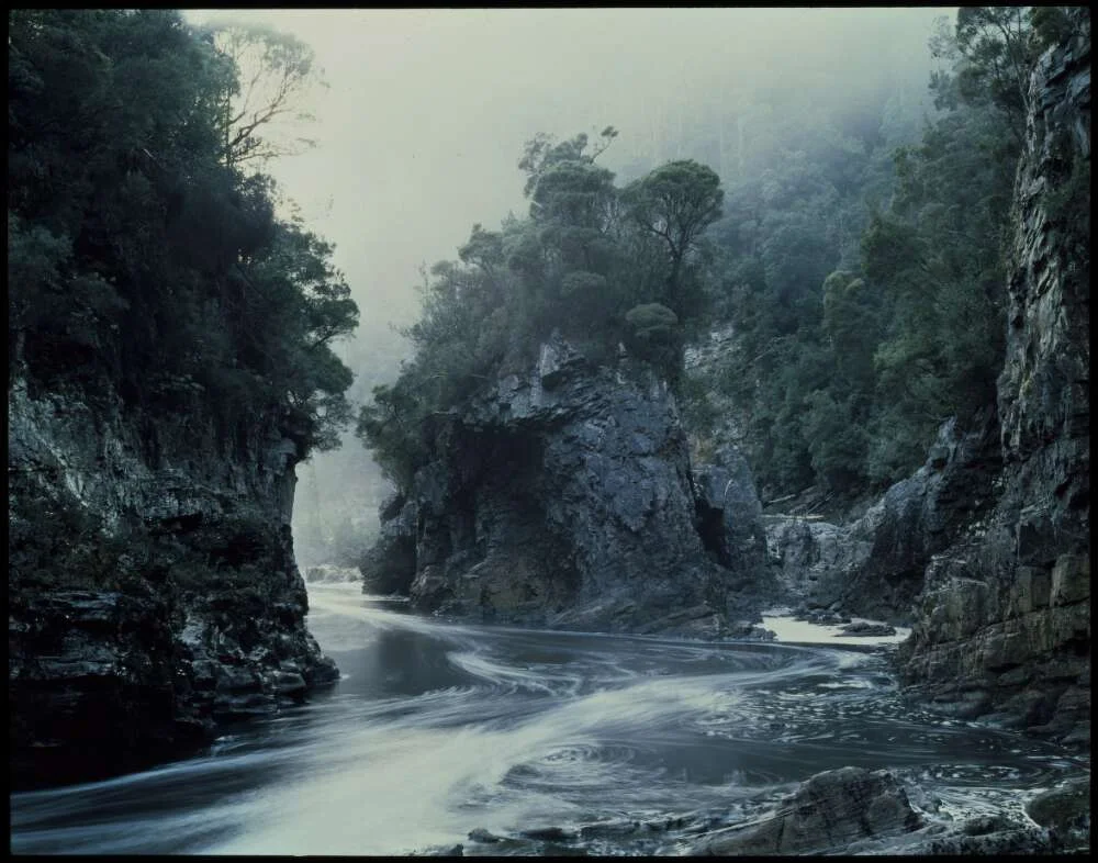 Morning Mist, Rock Island bend, Franklin River 1980 or 1981 by Peter Dombrovskis.