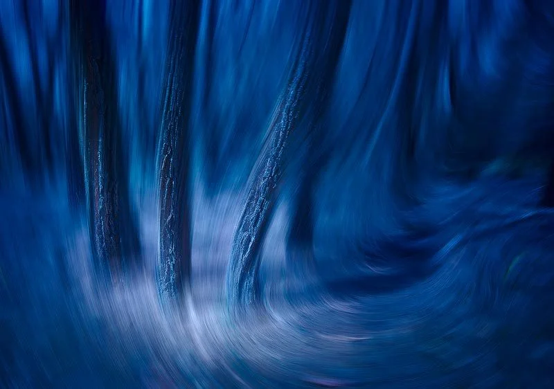 Mark Kelly Fine Art Presentation