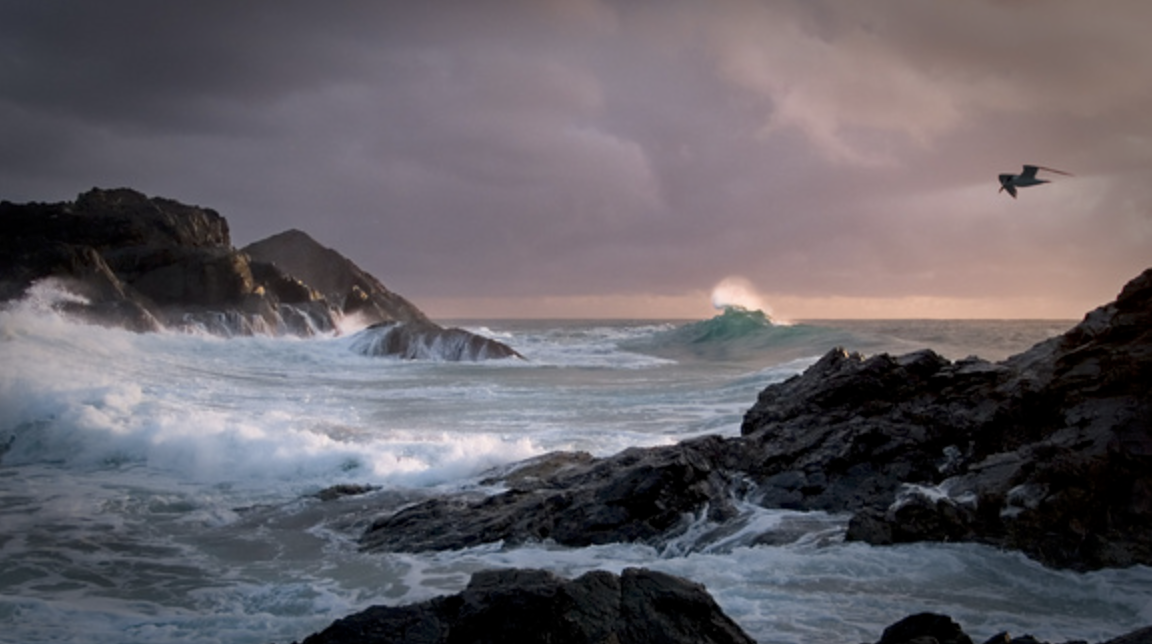 WOW! Rob Smith Presentation