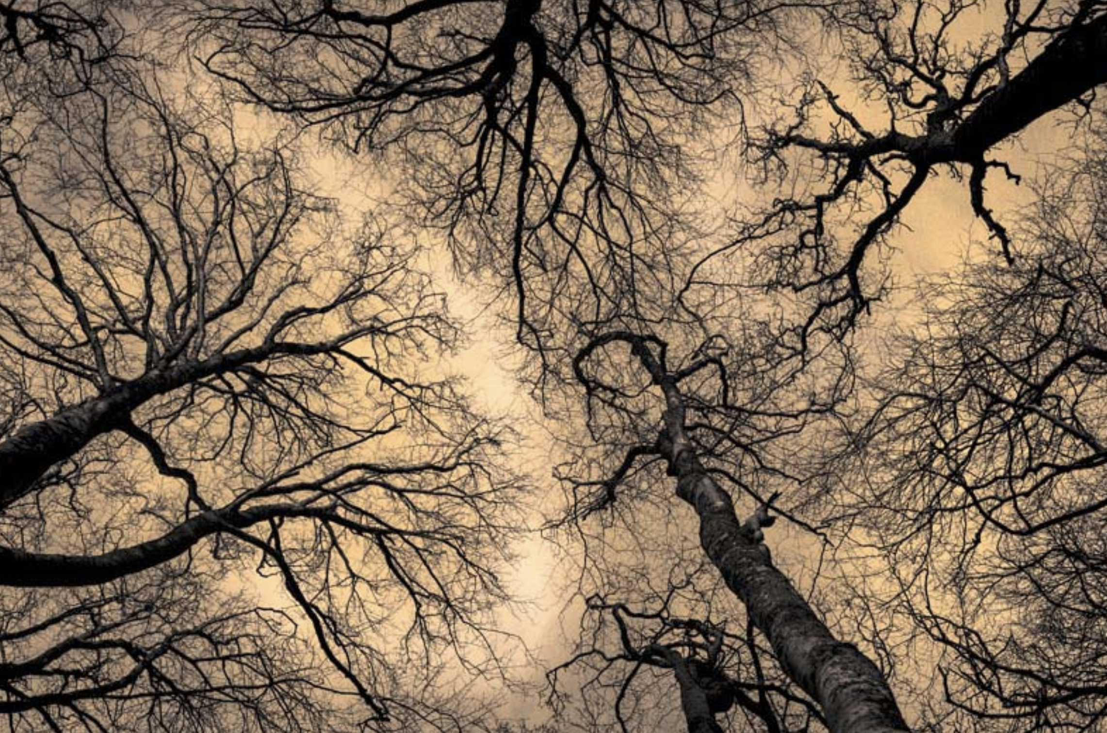 Photographers who have helped shape my photographic practice