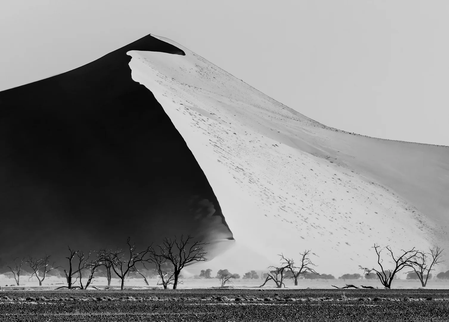 Skeleton Coast Dune by Lucie