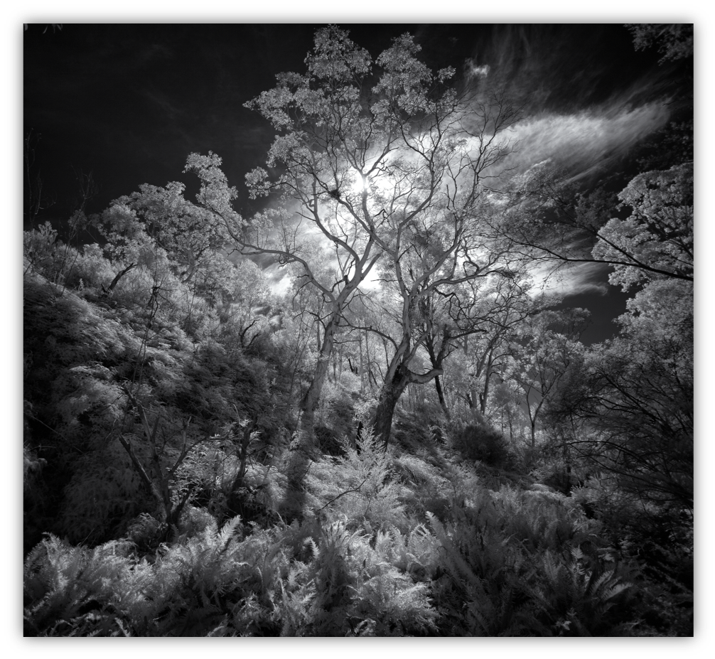 The Warmth Of The Winter Sun, Peter Hill