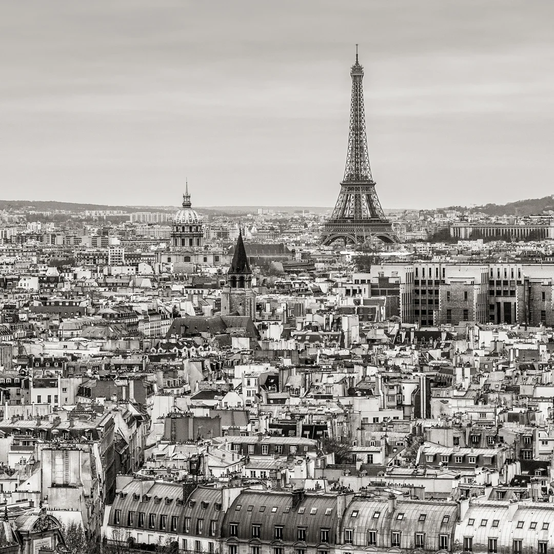 Monochrome Styles by Members