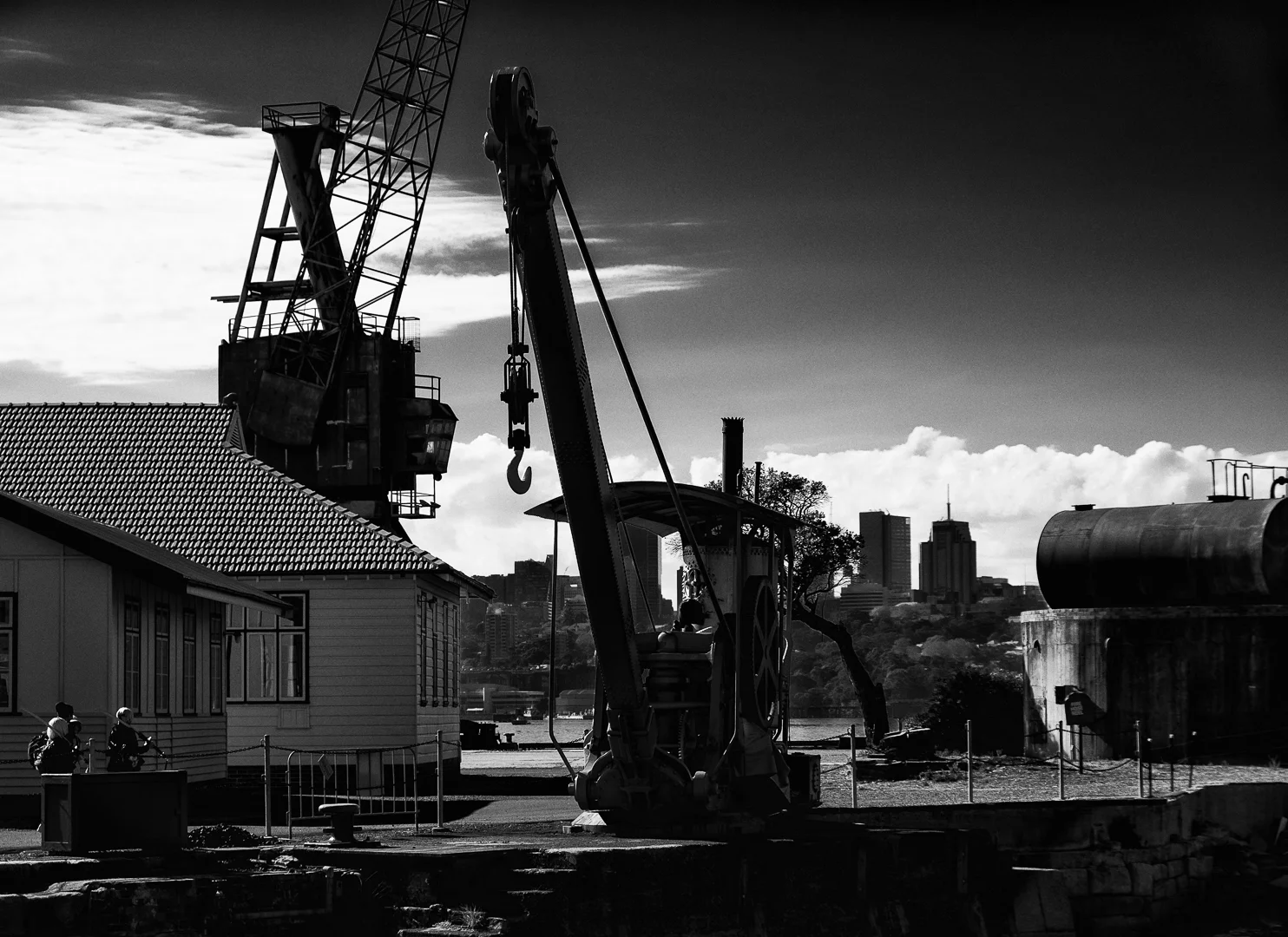 Cockatoo mid week outing
