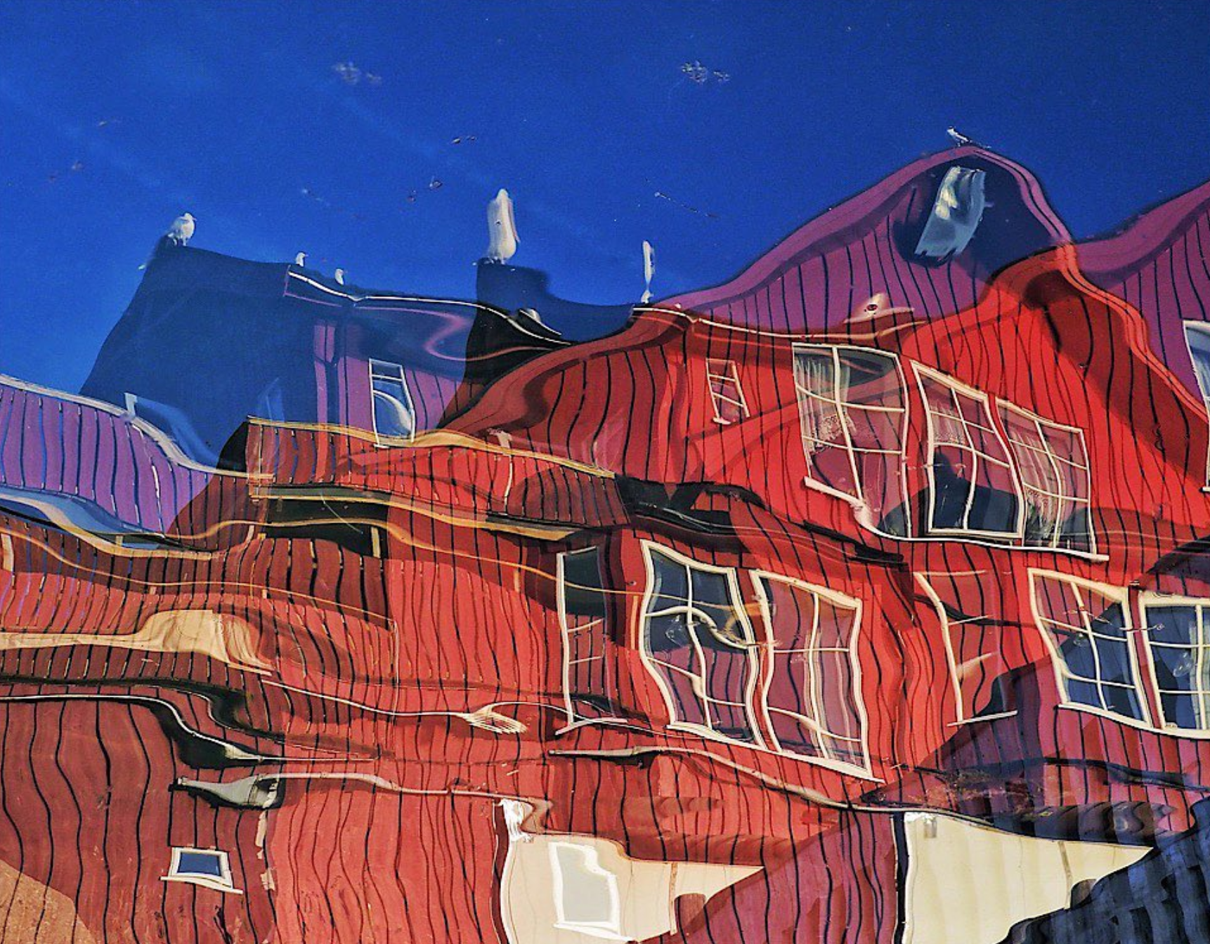 An evening with Shirley Steel