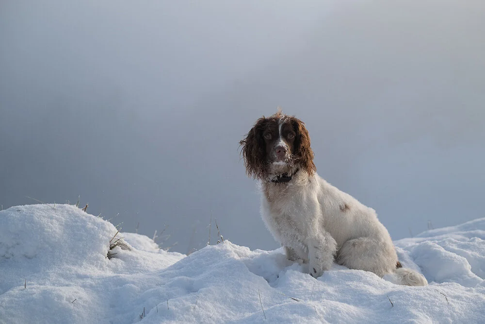 Special Guest, Nigel Danson