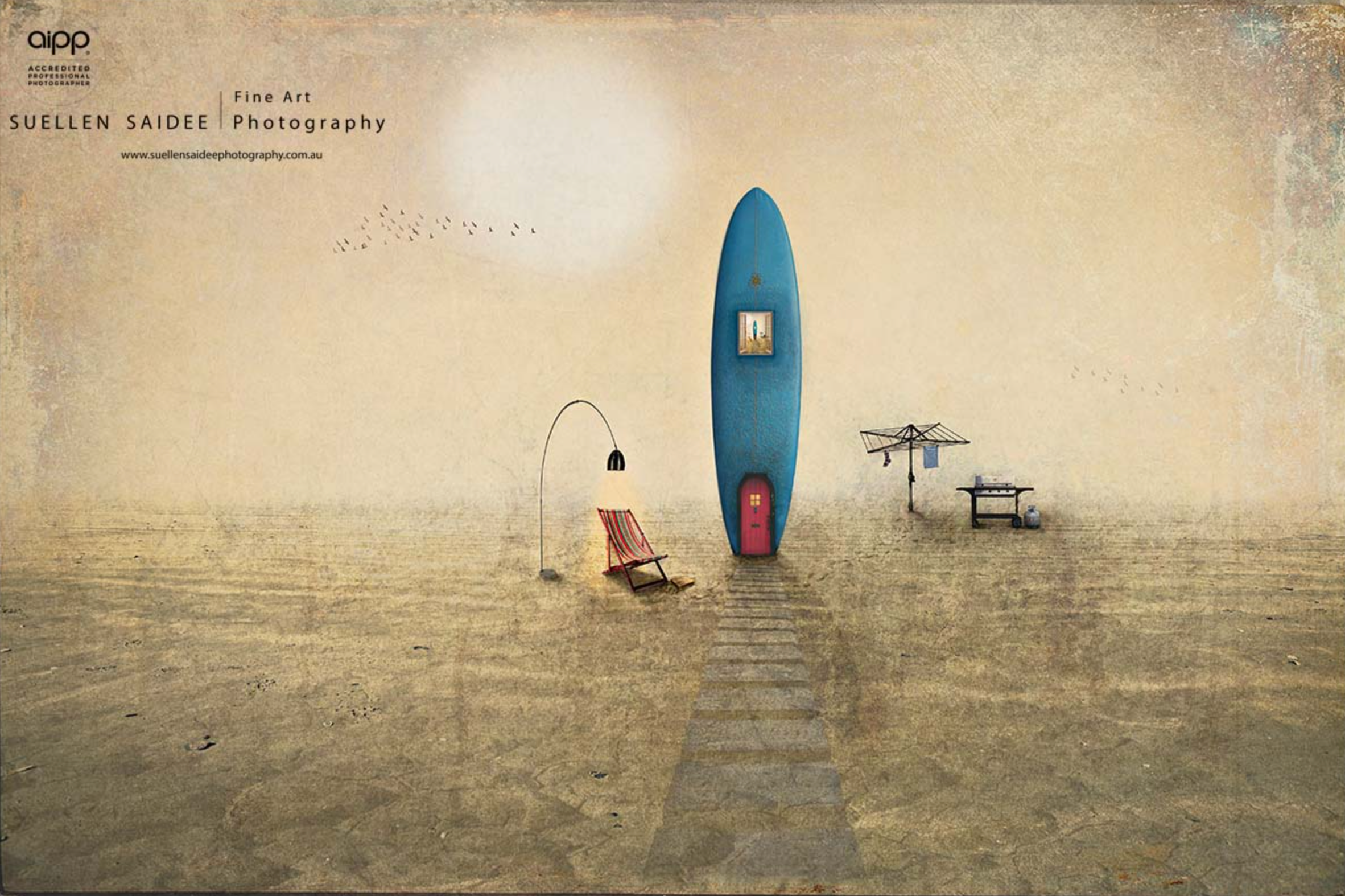 Reinventing reality with Suellen Saidee Cook