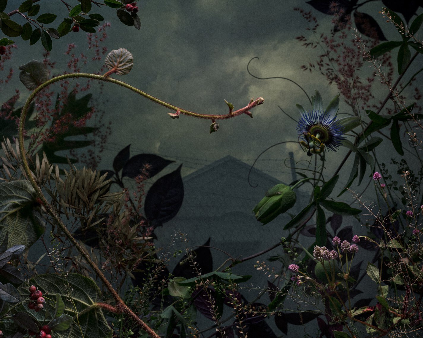 Special Presentation by Daniel Shipp - My Journey Through Photography