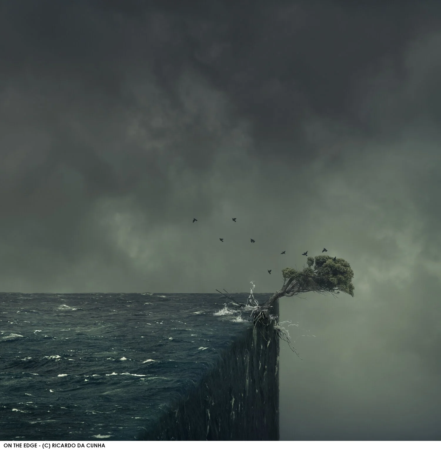 Special Presentation night - Ricardo da Cuhna via Zoom 26th May