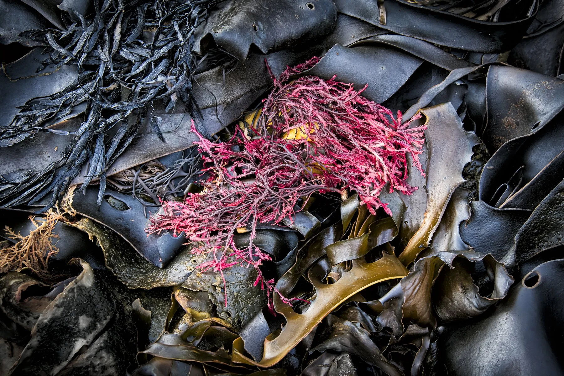 Gala Night of Portfolios - 3rd November