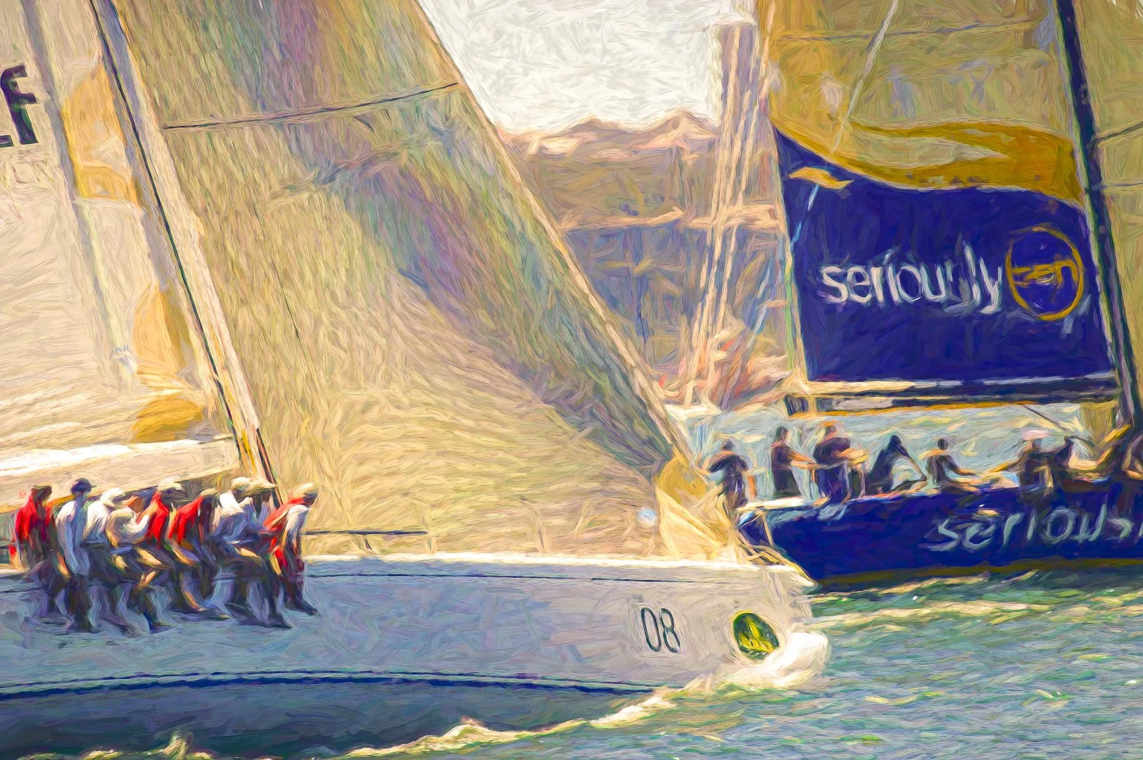 Outing to the 18 Footers on Sydney Harbour