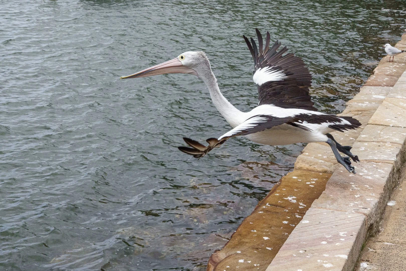 Outing to Dangar Island