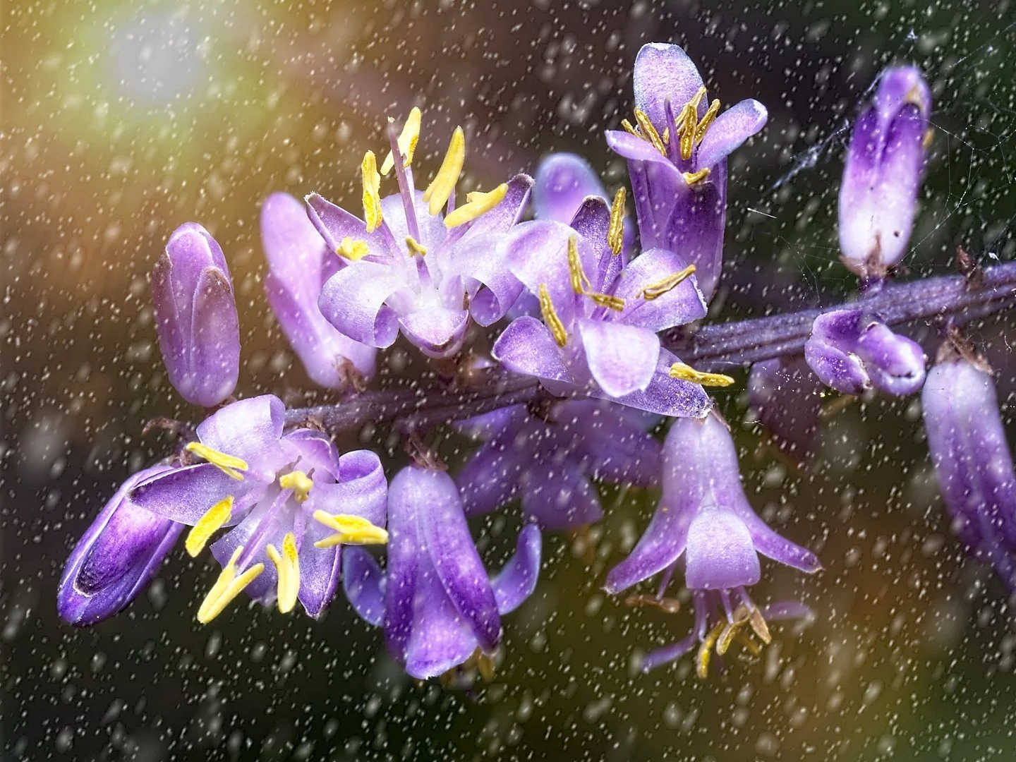 Evaluation Night #1 - Thursday 25th January