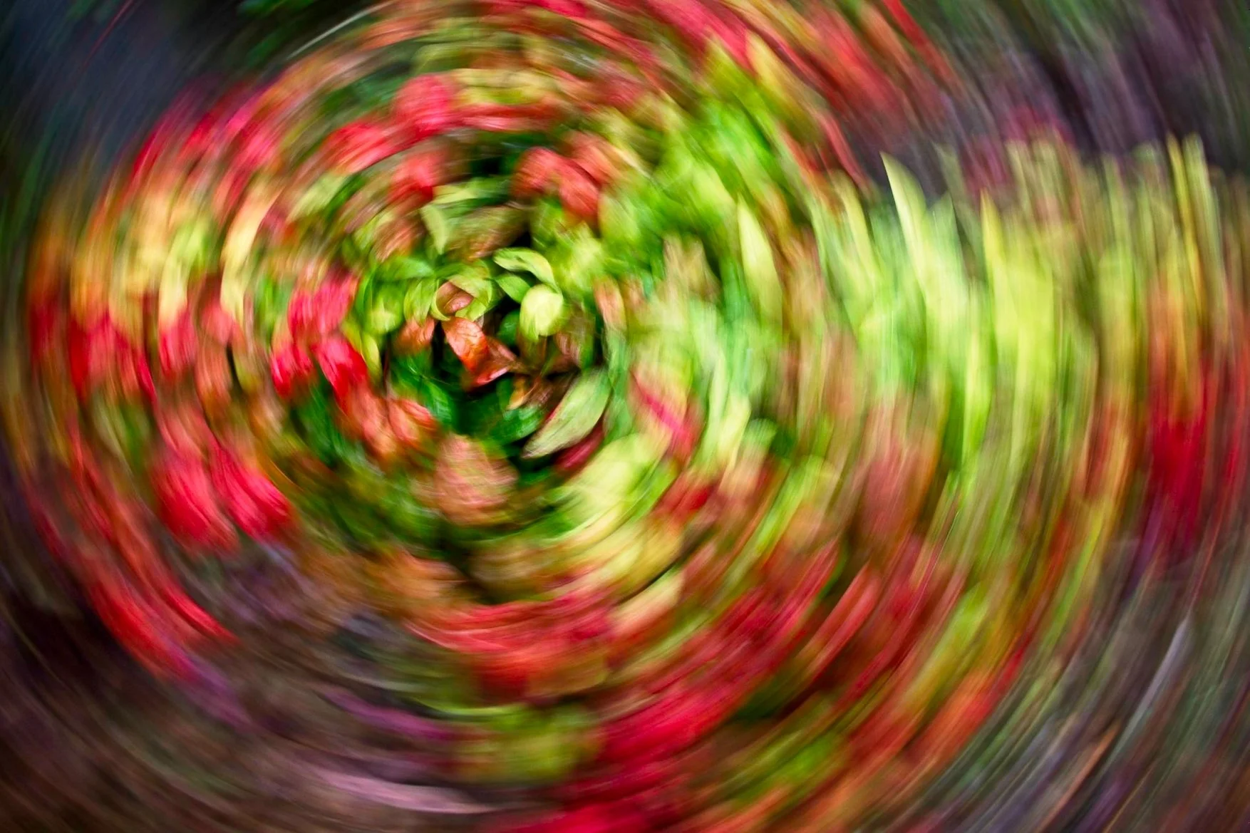 Challenge Night "Advanced Capture Techniques" Thursday 8th August