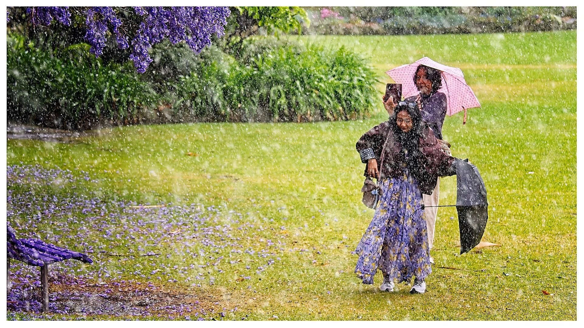 Evaluation Night 13/11/25