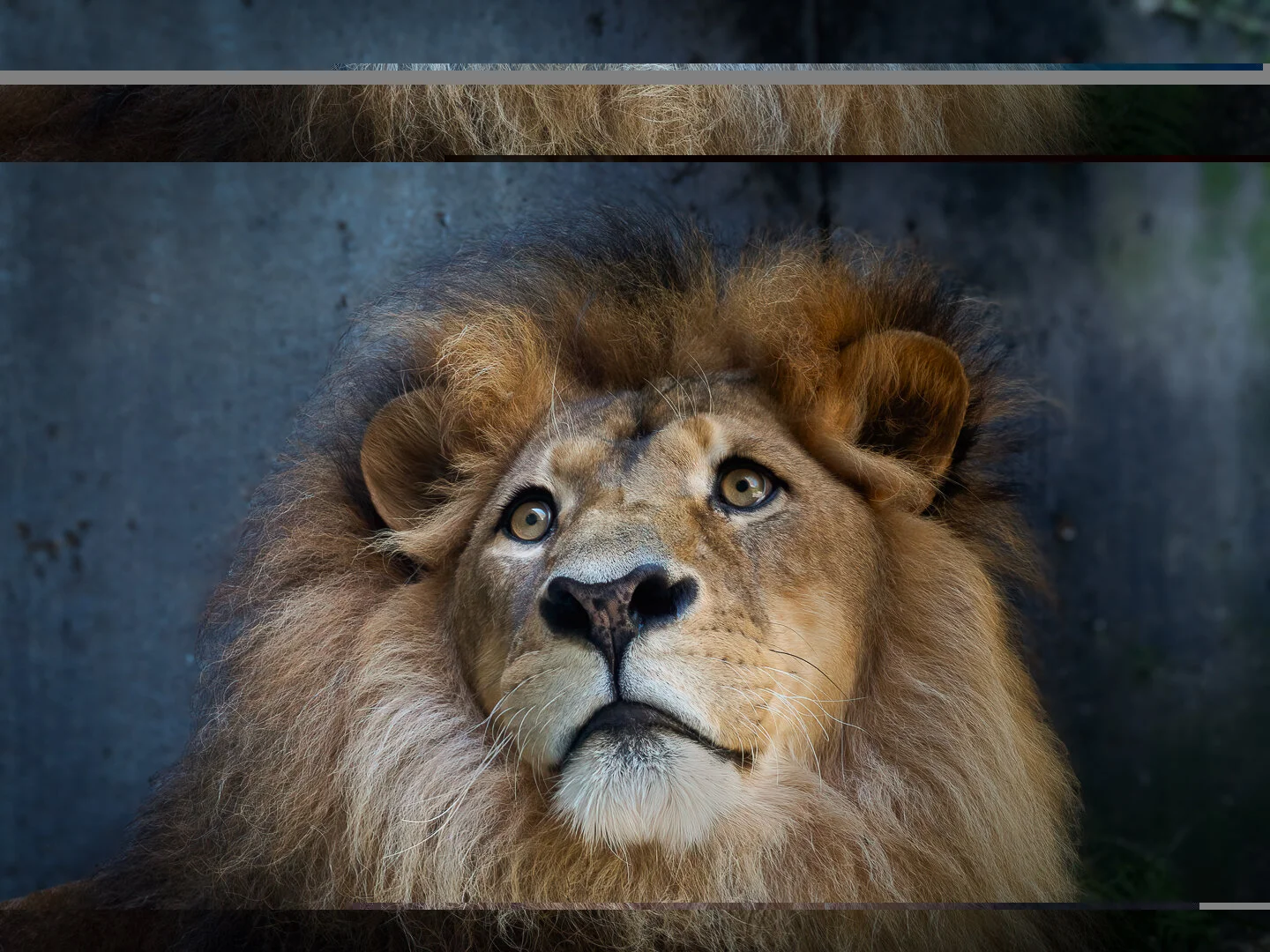 Lecture/Discussion:  Photography My Way 