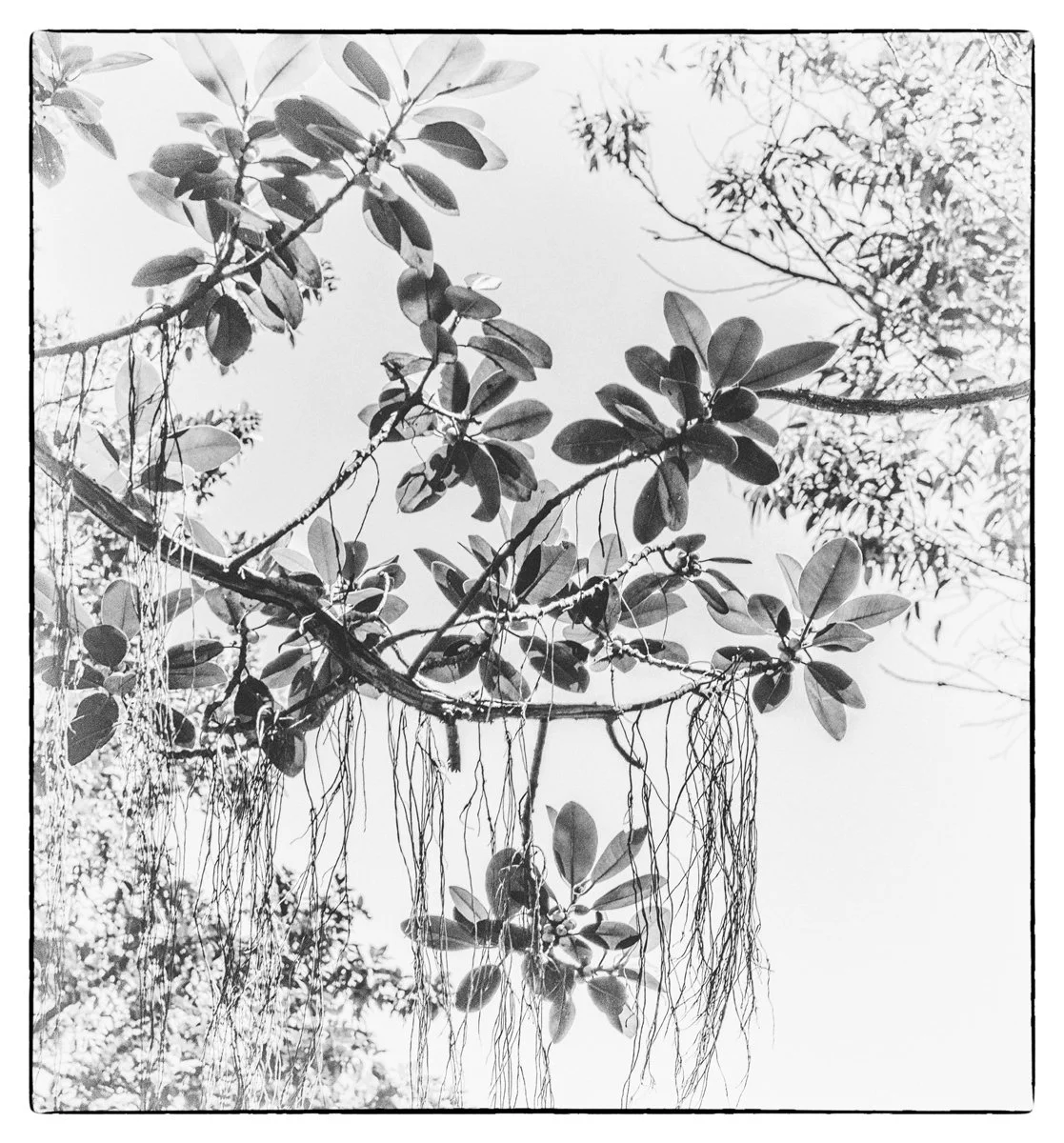 Evaluation Night 22/01/2026