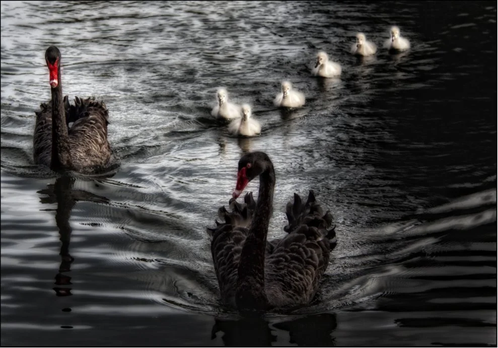 Members Present night 2nd April