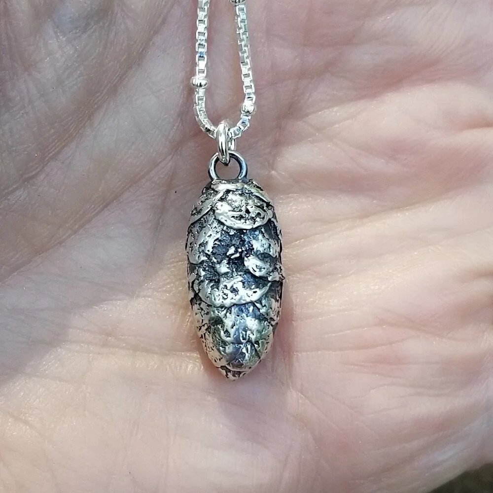 pinecone4.jpg
