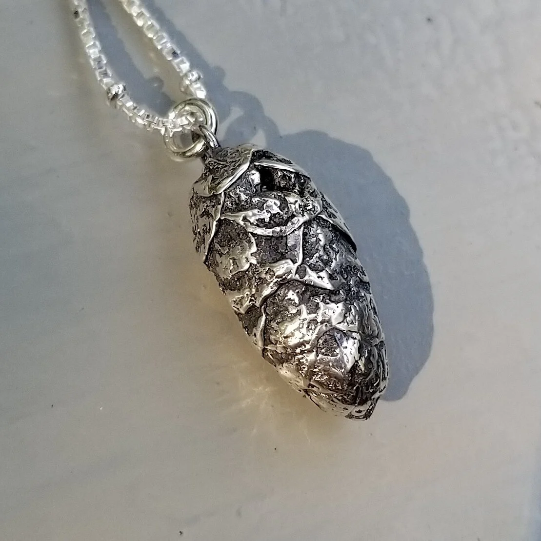 pinecone3.jpg