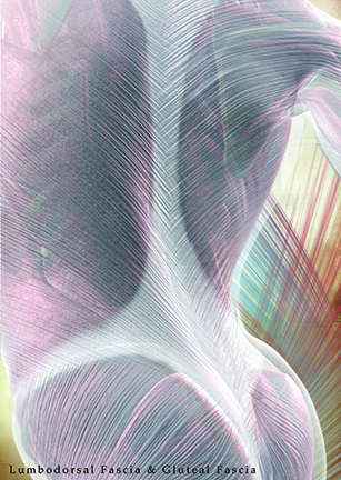 Fascia Poster B detail