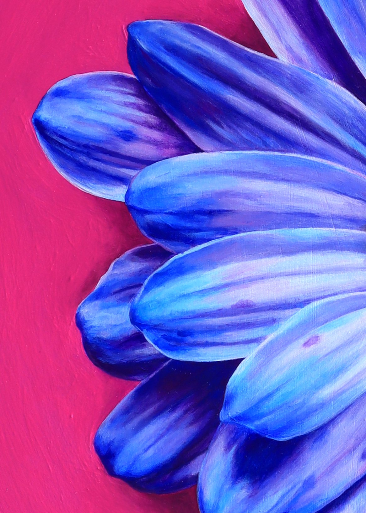 Cotton Candy Daisy_Detail 2_NV.jpg