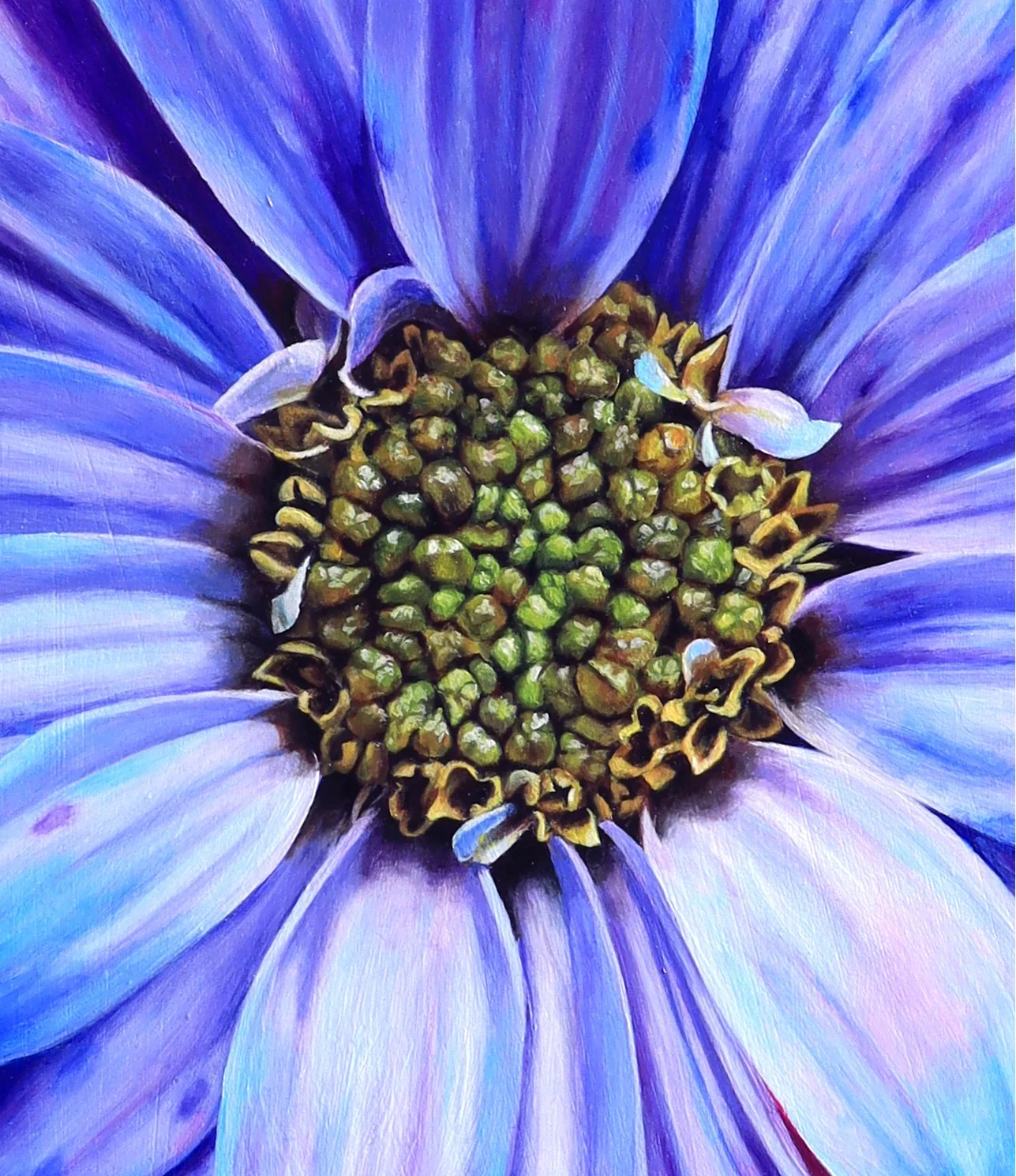 Cotton Candy Daisy_Detail 1_NV.jpg