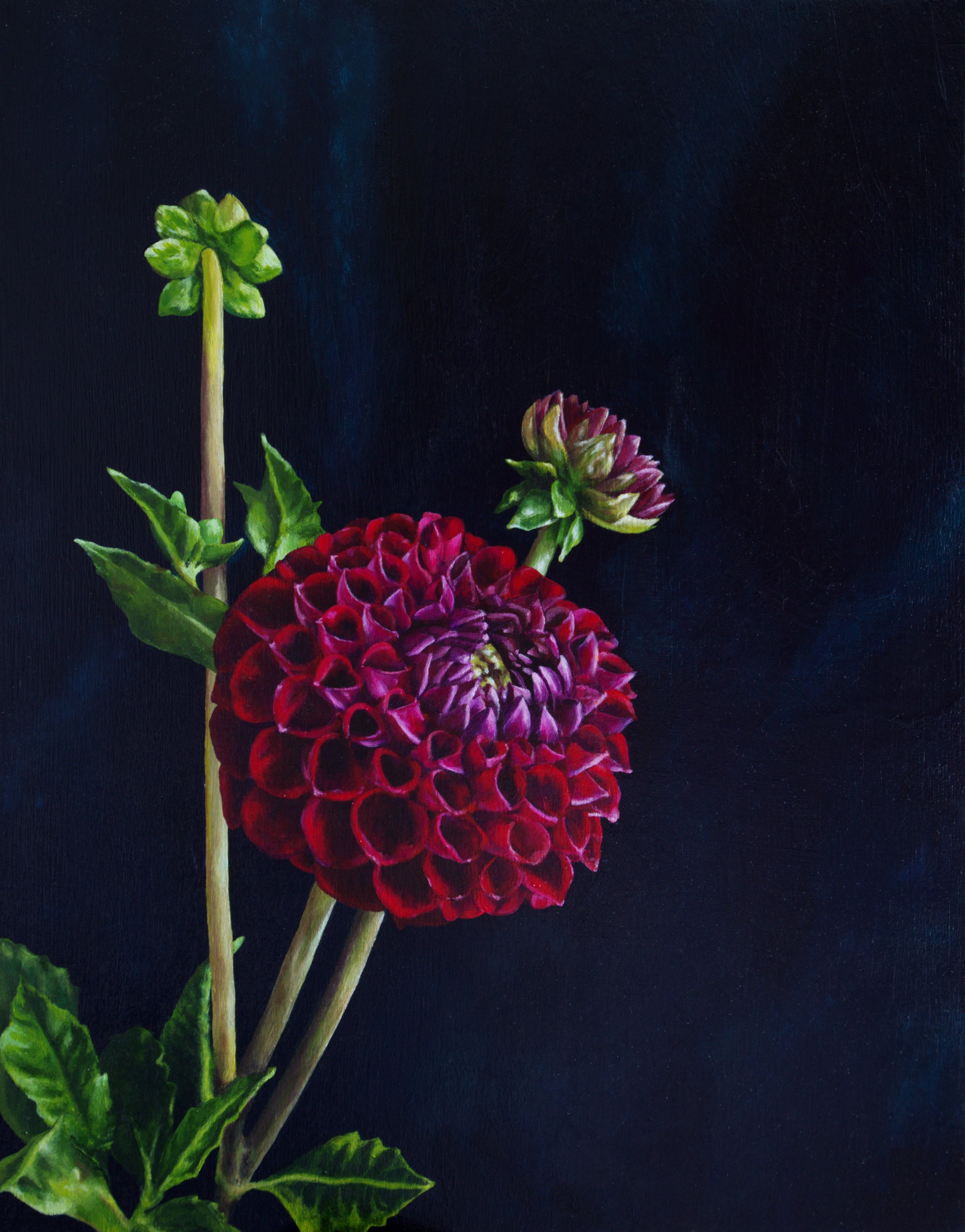 Dahlia - 11 x 14", 2025