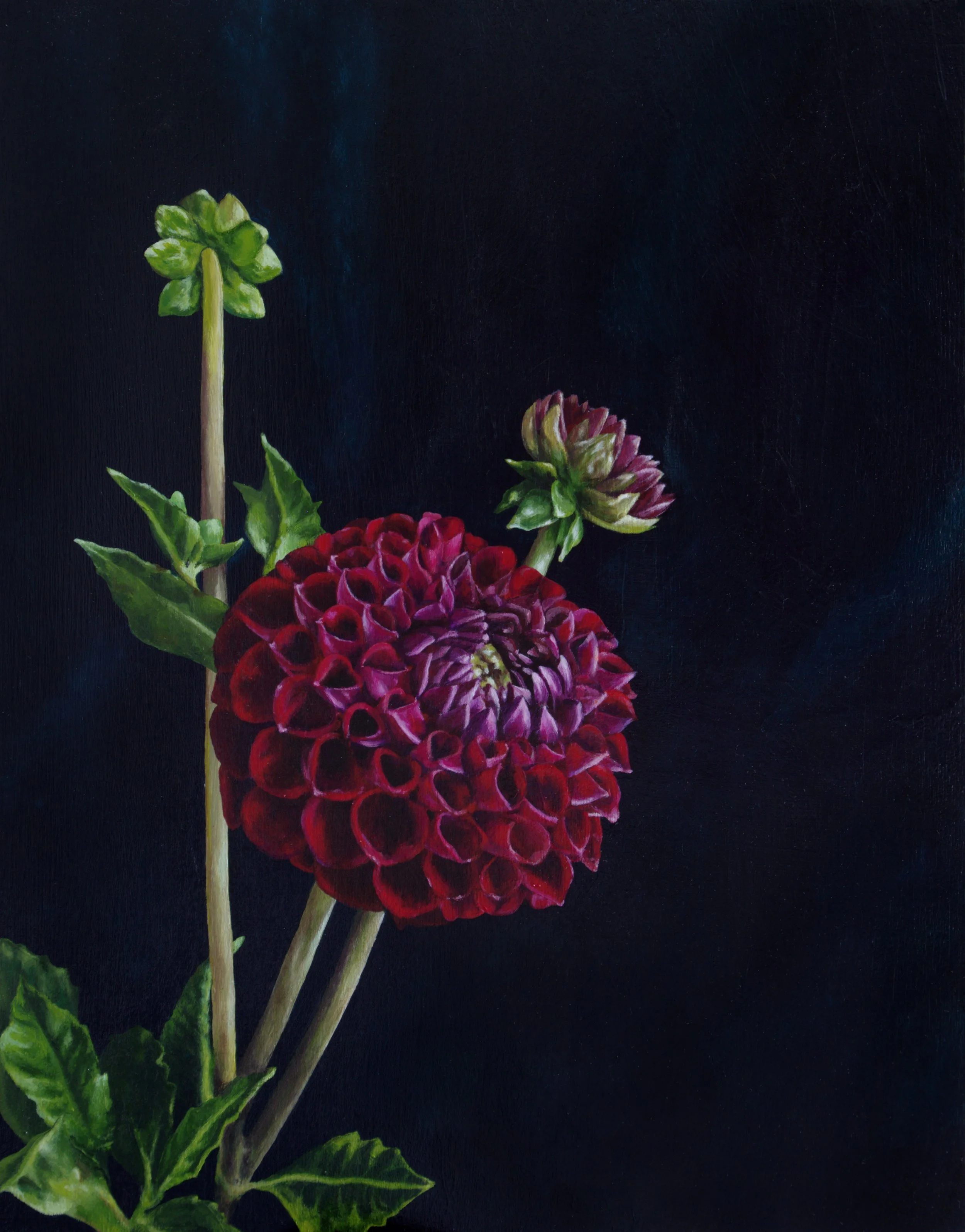 Dahlia - 11 x 14", 2024 SOLD