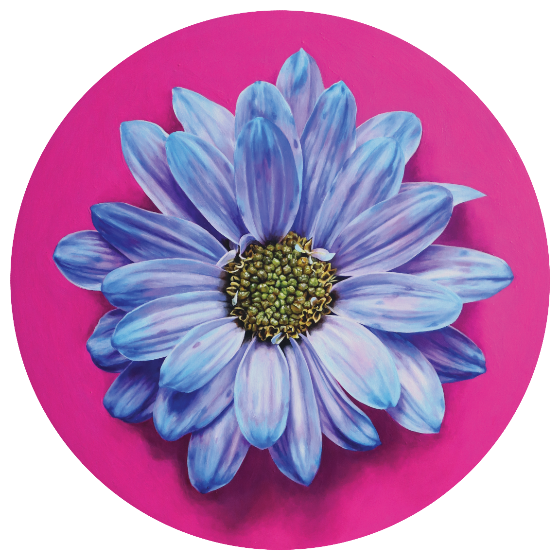 1. Cotton Candy Daisy_Natalie Viecili.png