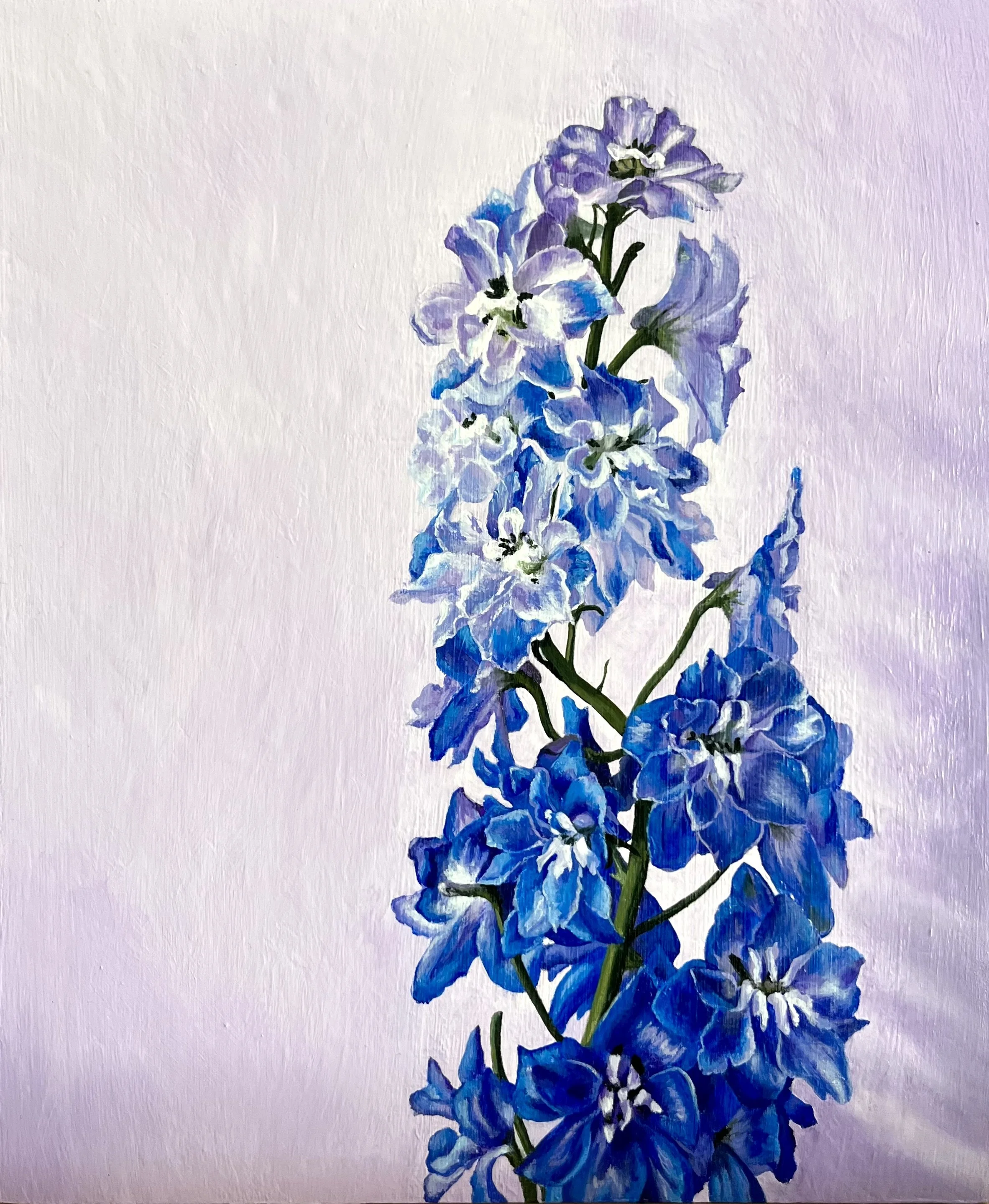 3. Delphinium_Natalie Viecili.jpg
