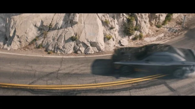 Brotherhood of Muscle | Free