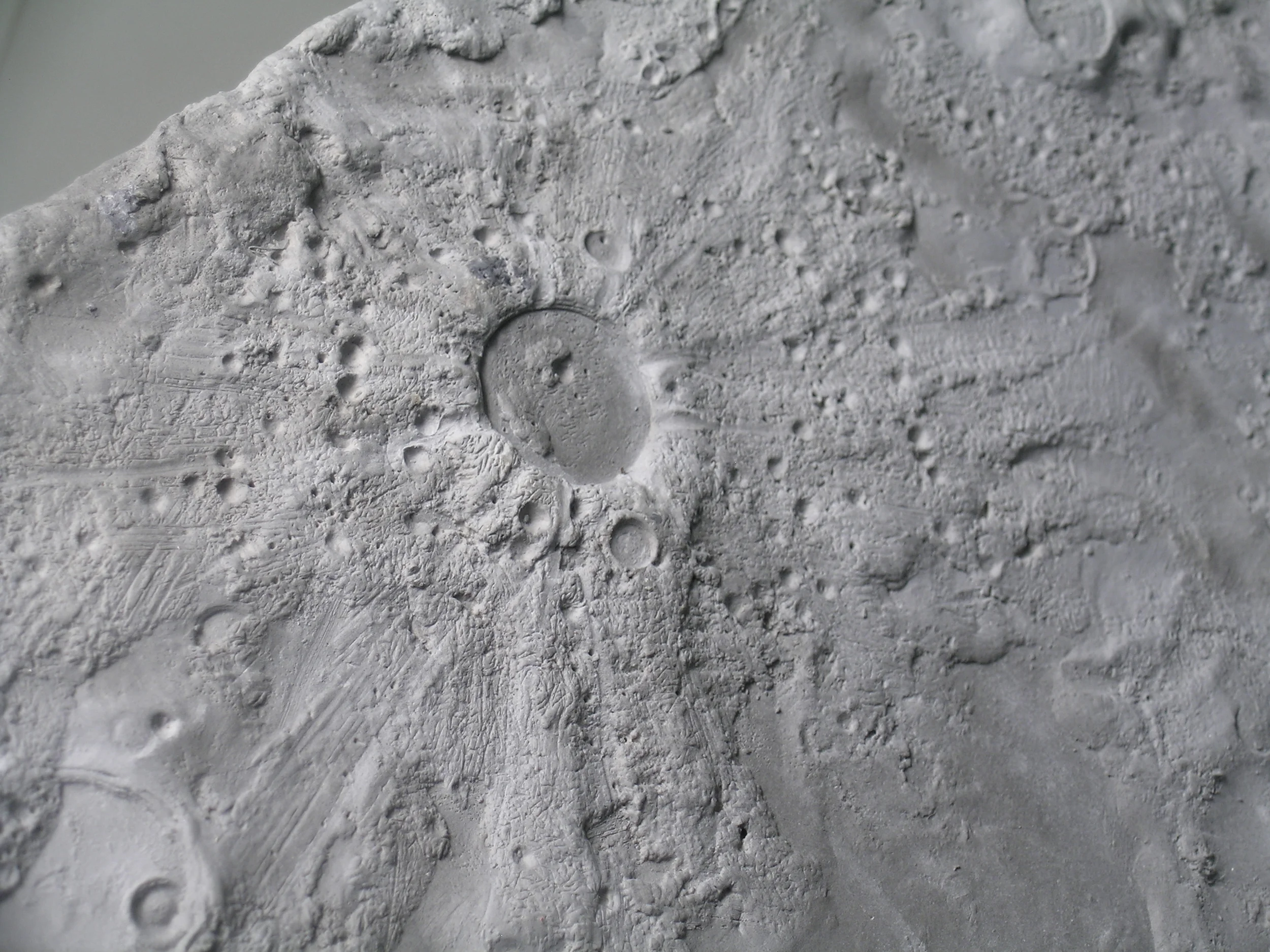 tetraluna_detail.jpg