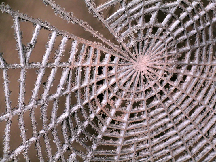 overandover_detail.jpg