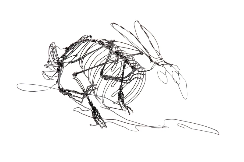 cameron_rabbit_web.jpg