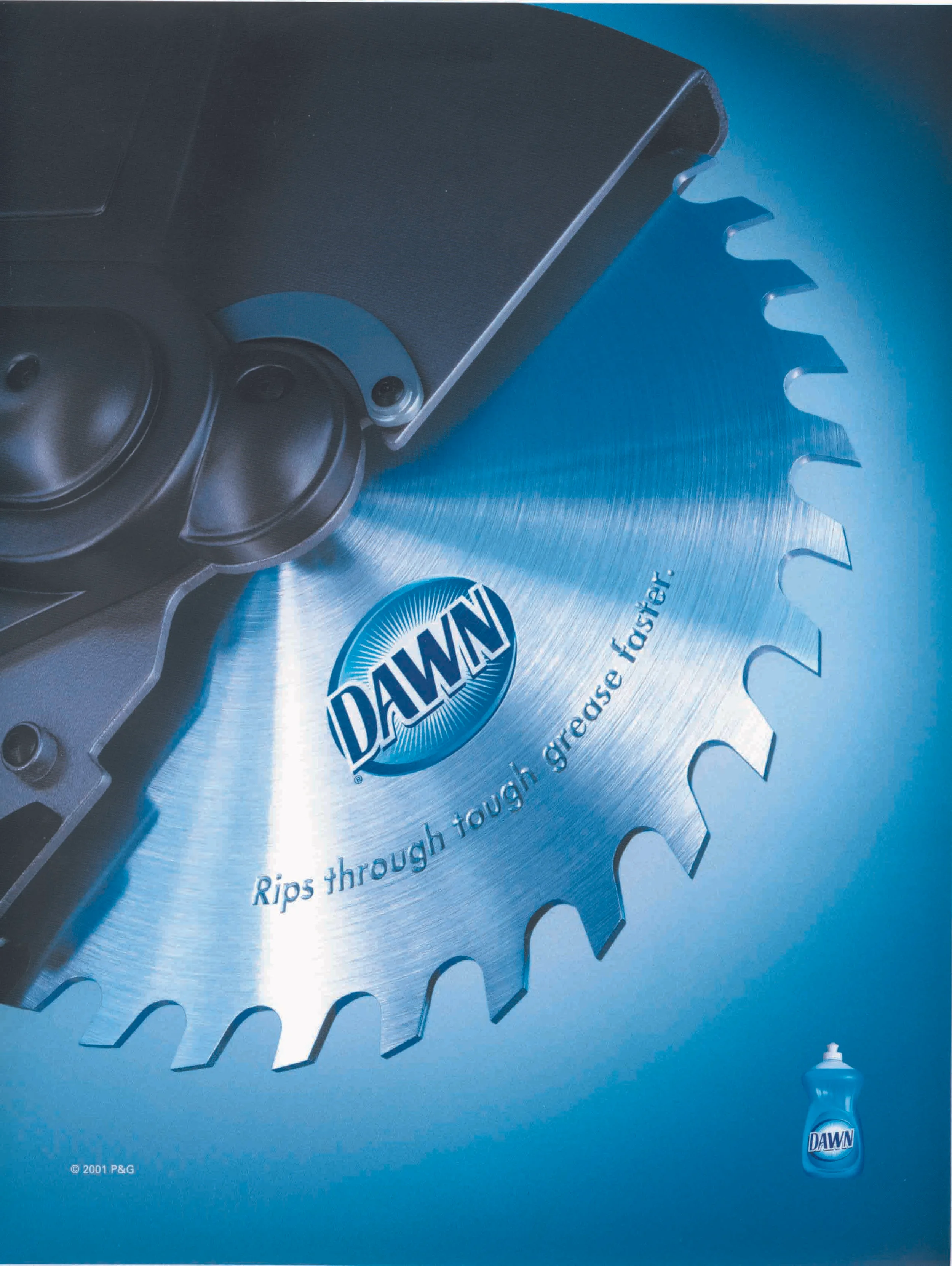 dawn saw.jpg