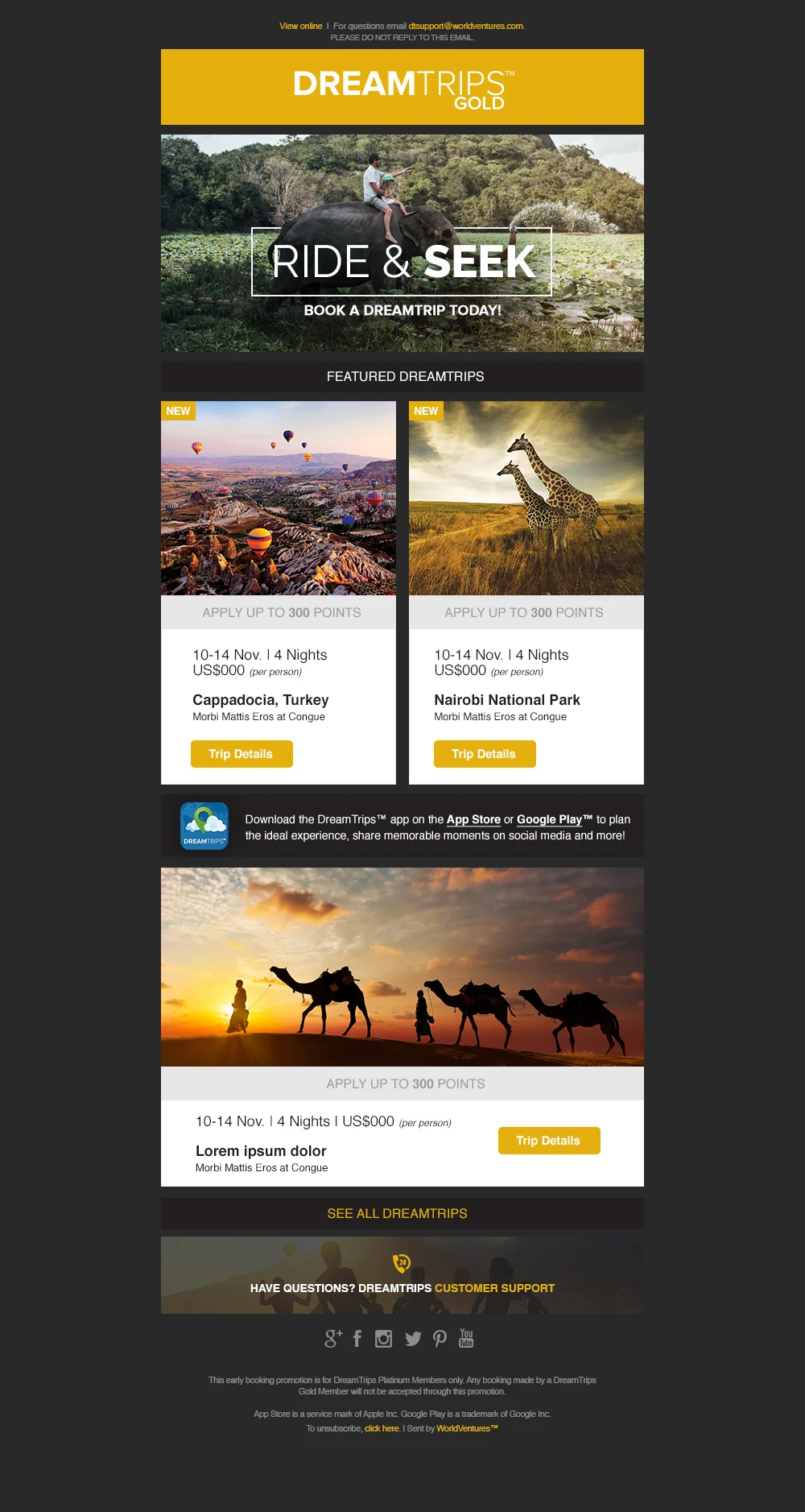 DTGold-Comp1-w600_h-ex1.jpg