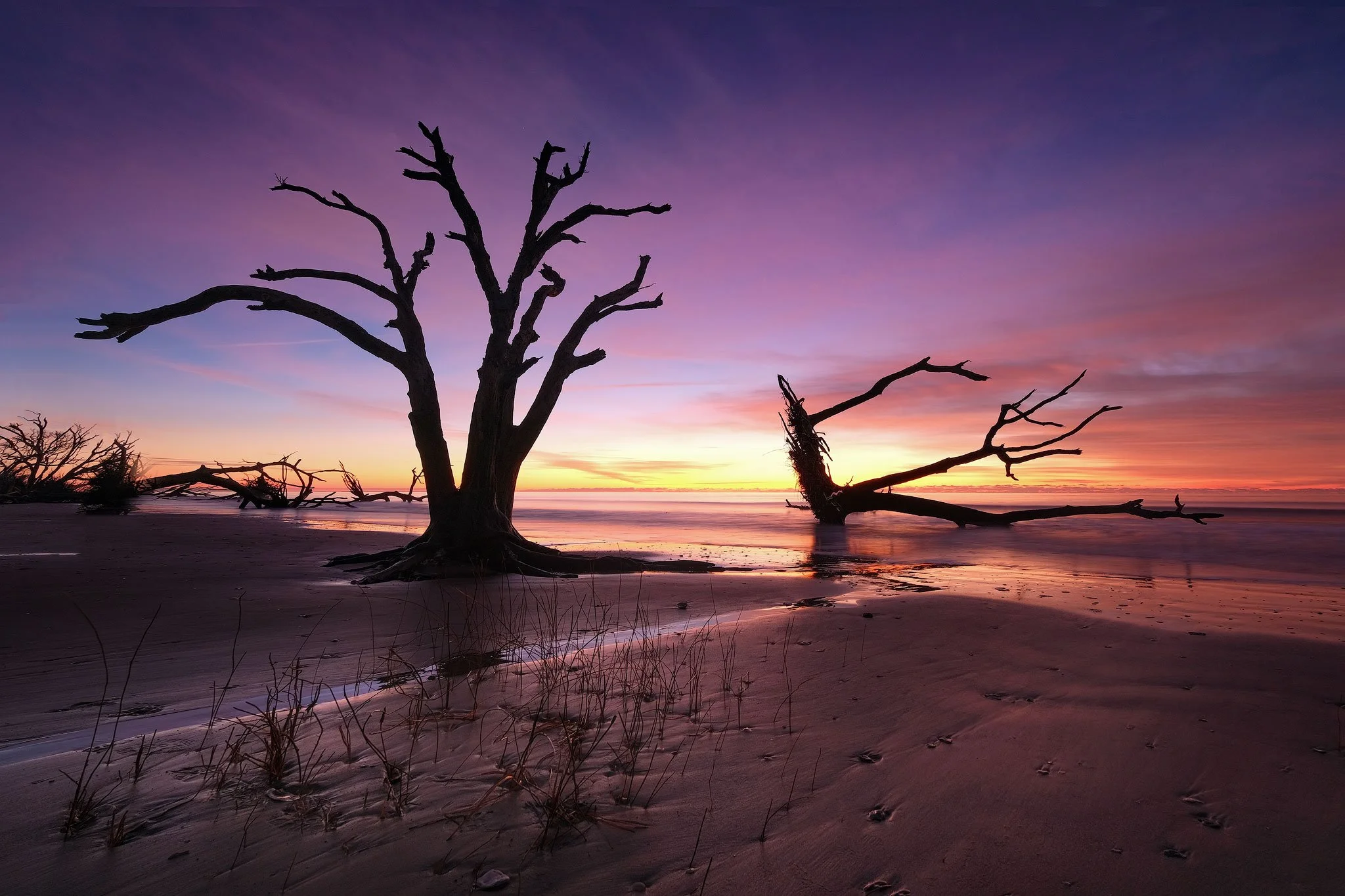 Charleston Photography Tours - Boneyard Beach Tour