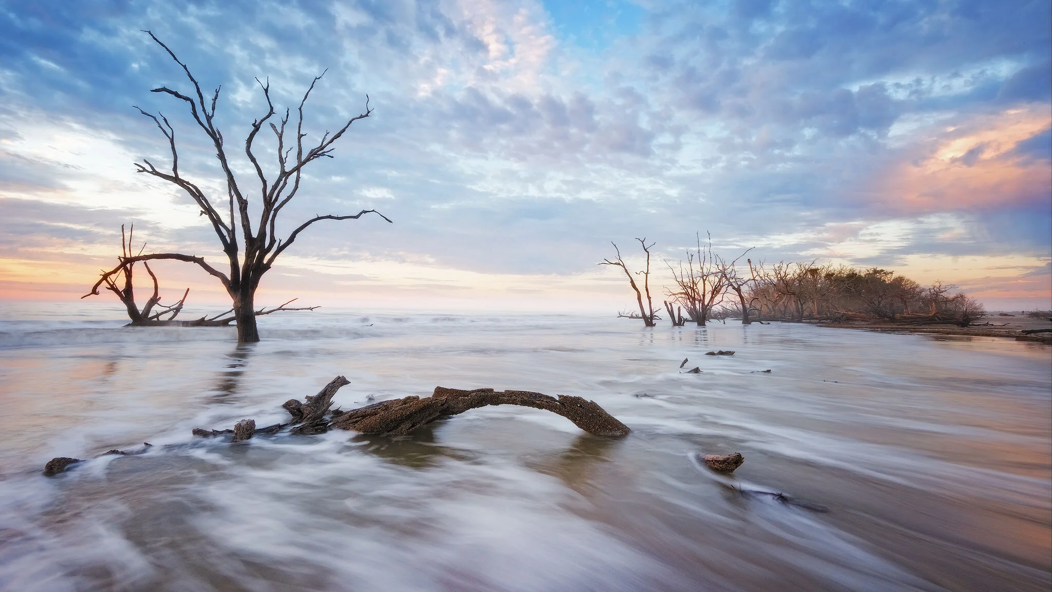 Photographers: Those Who Draw With Light